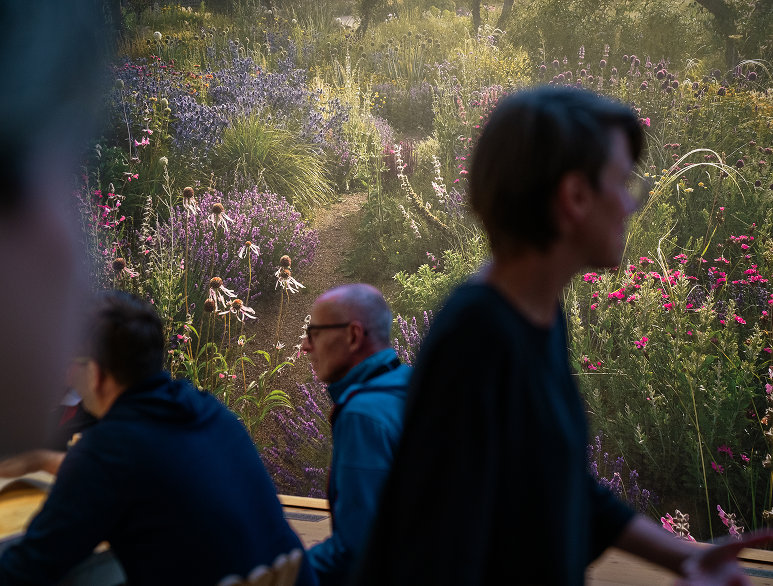 DSC06890_Ungraded-preview-2