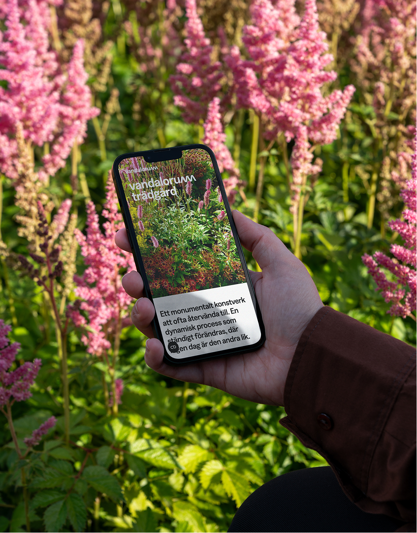 DSC07327_Ungraded-preview-2-1